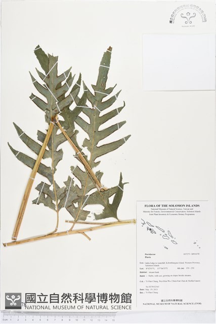 登錄號:BP01078藏品圖，第1張