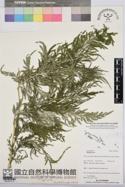 登錄號:BP03078藏品圖，第1張