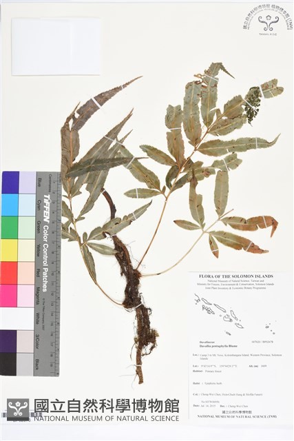 登錄號:BP02678藏品圖，第1張