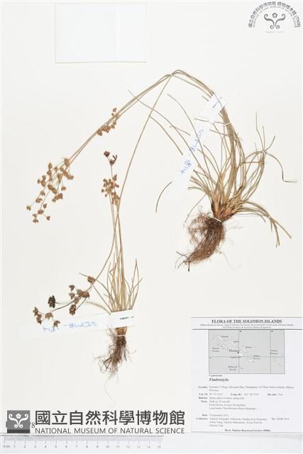 登錄號:BS01678藏品圖，第1張