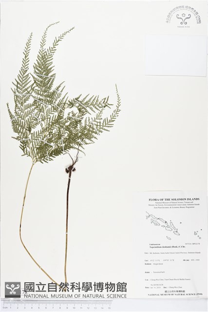 登錄號:BP02178藏品圖，第1張