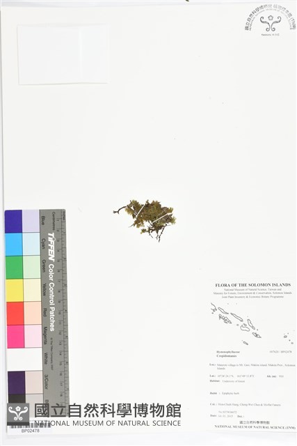 登錄號:BP02478藏品圖，第1張