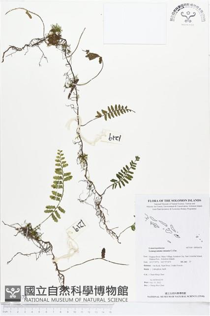 登錄號:BP00478藏品圖，第1張