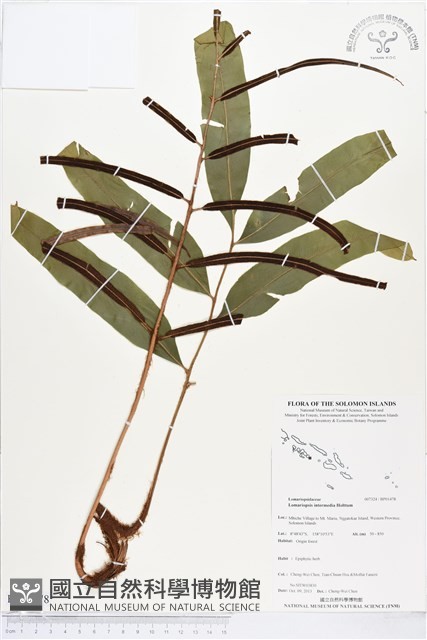 登錄號:BP01478藏品圖，第1張