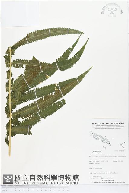 登錄號:BP02278藏品圖，第1張