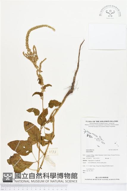 登錄號:BS02278藏品圖，第1張