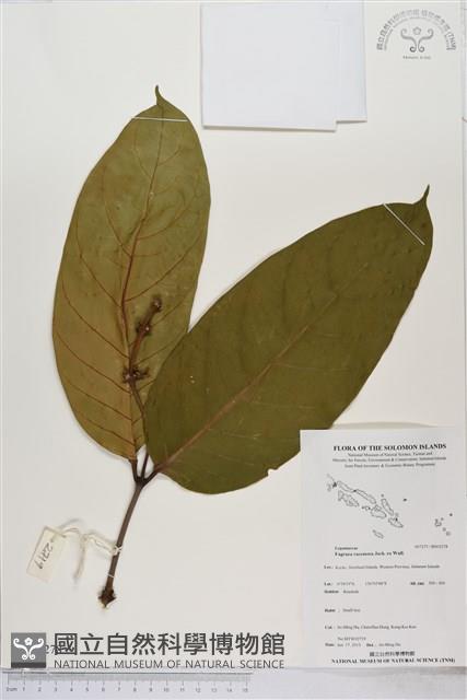 登錄號:BS03278藏品圖，第1張