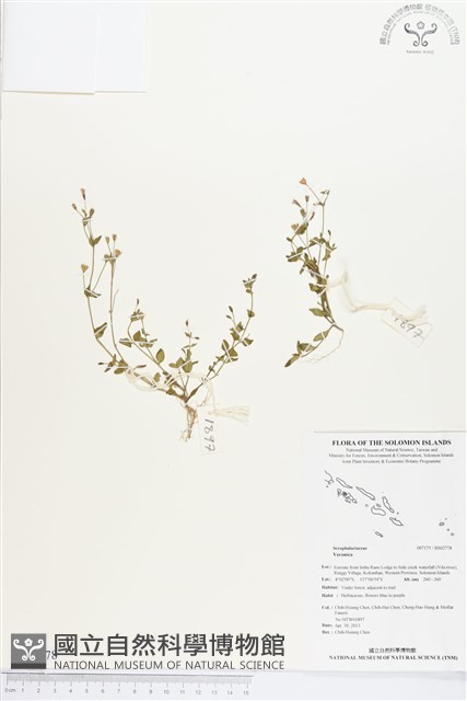登錄號:BS02778藏品圖，第1張