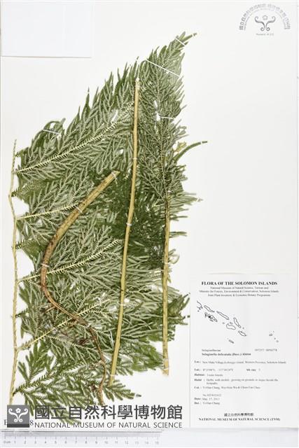 Accession Number:BP00778 Collection Image