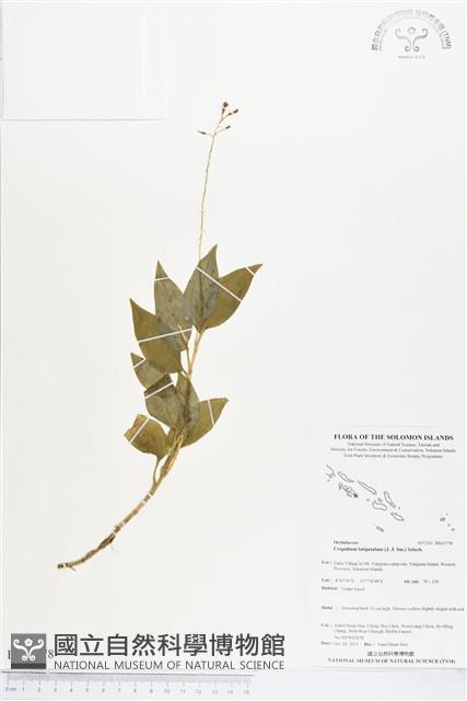 登錄號:BS03778藏品圖，第1張