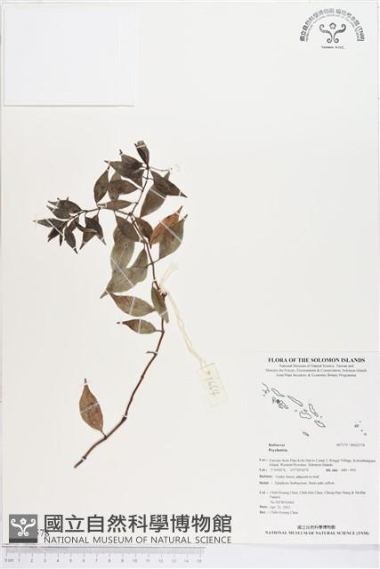 登錄號:BS02578藏品圖，第1張