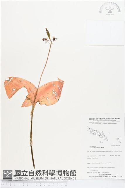 登錄號:BS04578藏品圖，第1張