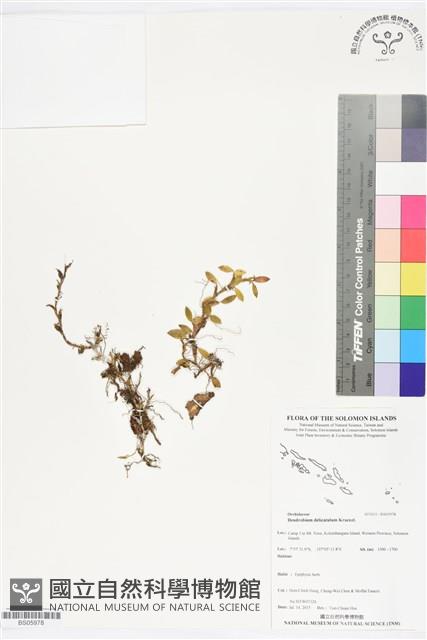 登錄號:BS05978藏品圖，第1張