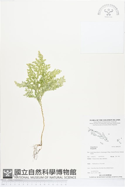 登錄號:BP02378藏品圖，第1張