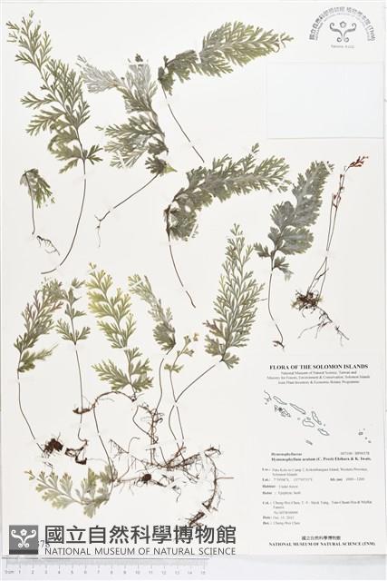 登錄號:BP00378藏品圖，第1張