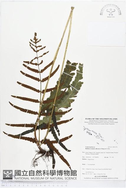登錄號:BP01378藏品圖，第1張