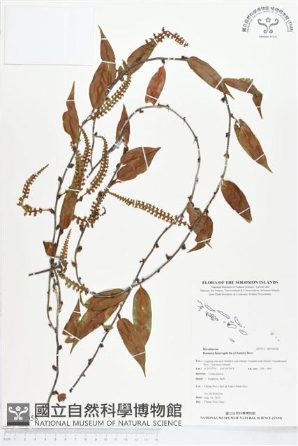 登錄號:BP00058藏品圖，第1張