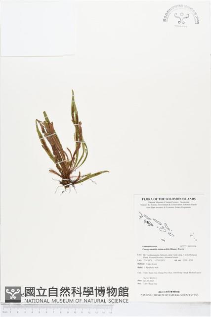 登錄號:BP01058藏品圖，第1張