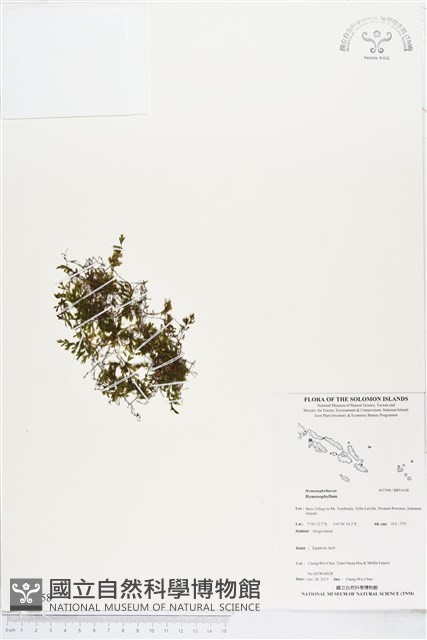 登錄號:BP01658藏品圖，第1張