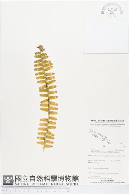 登錄號:BS03658藏品圖，第1張