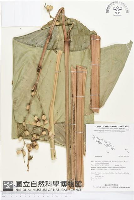 登錄號:BS02158藏品圖，第1張