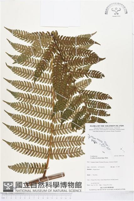 登錄號:BP01158藏品圖，第1張