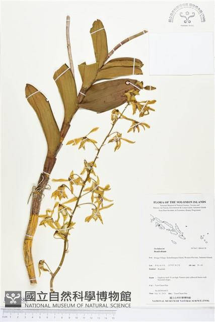 登錄號:BS04158藏品圖，第1張