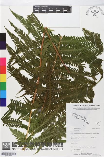 登錄號:BP02458藏品圖，第1張