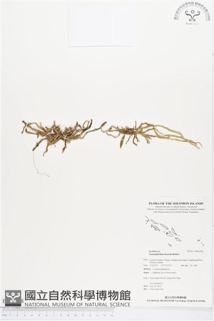 登錄號:BS01458藏品圖，第1張