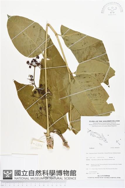 登錄號:BS04458藏品圖，第1張