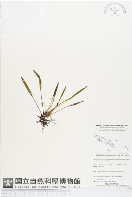登錄號:BS04258藏品圖，第1張
