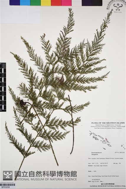 登錄號:BP03258藏品圖，第1張