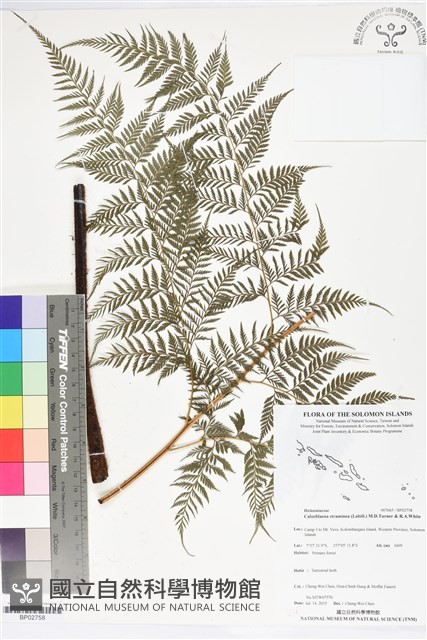 登錄號:BP02758藏品圖，第1張