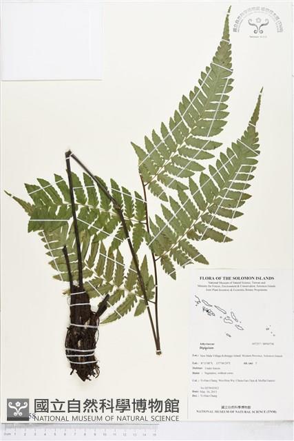 登錄號:BP00758藏品圖，第1張