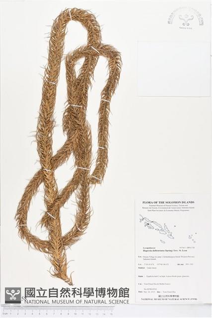 登錄號:BP01758藏品圖，第1張