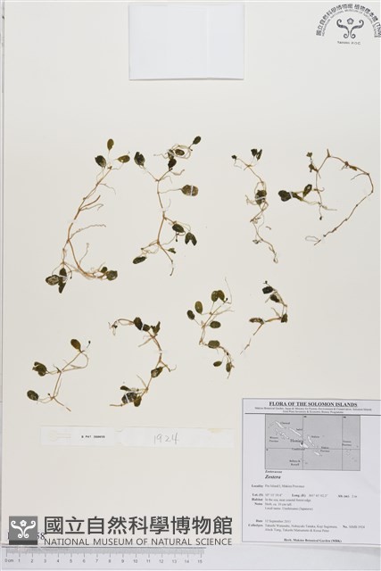 登錄號:BS01758藏品圖，第1張