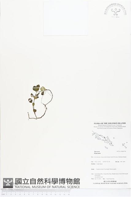 登錄號:BS04758藏品圖，第1張