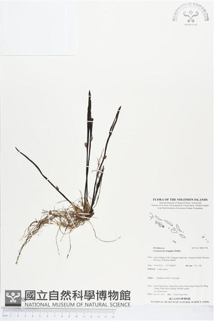 登錄號:BS03758藏品圖，第1張