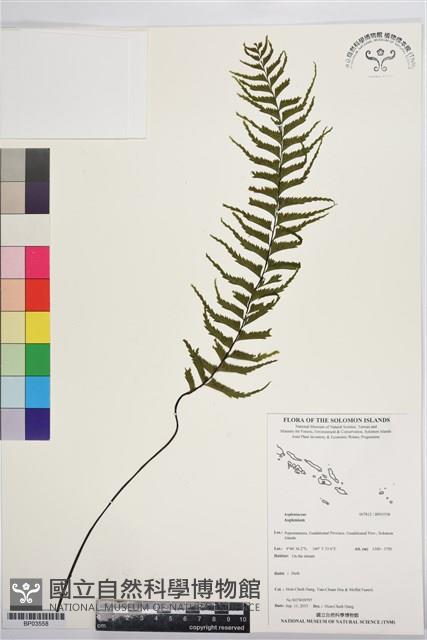 登錄號:BP03558藏品圖，第1張