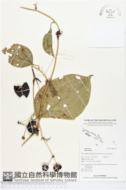 登錄號:BS02958藏品圖，第1張
