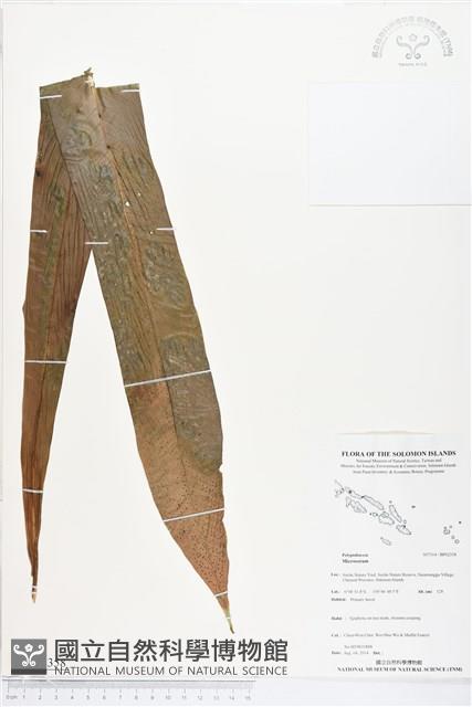 登錄號:BP02358藏品圖，第1張