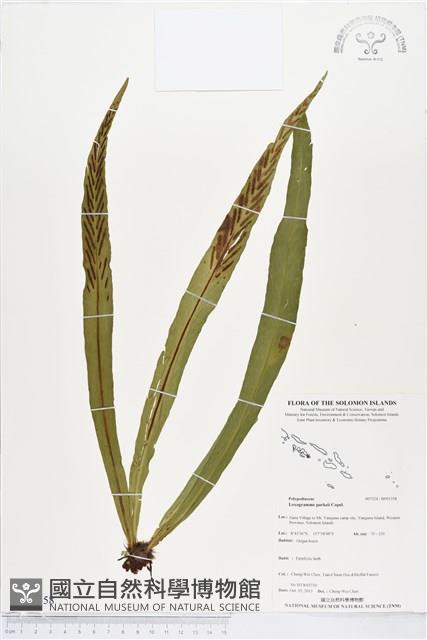 登錄號:BP01358藏品圖，第1張