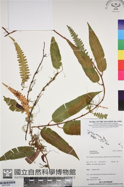 登錄號:BP03358藏品圖，第1張