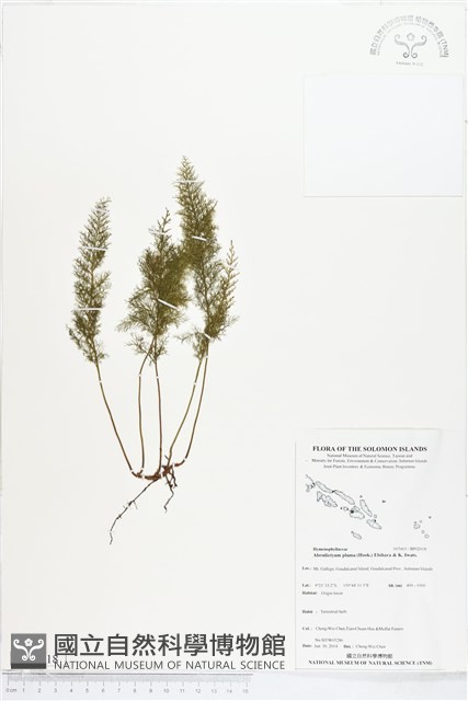登錄號:BP02018藏品圖，第1張
