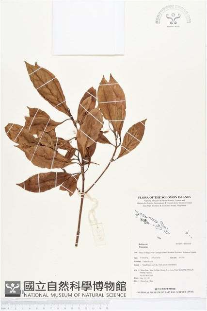 登錄號:BS03018藏品圖，第1張