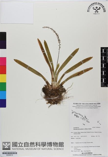 登錄號:BS06618藏品圖，第1張