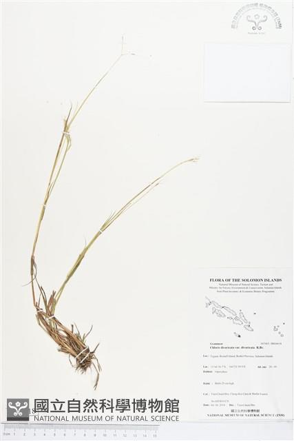 登錄號:BS04618藏品圖，第1張