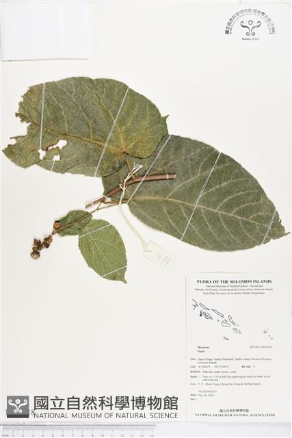 登錄號:BS02418藏品圖，第1張