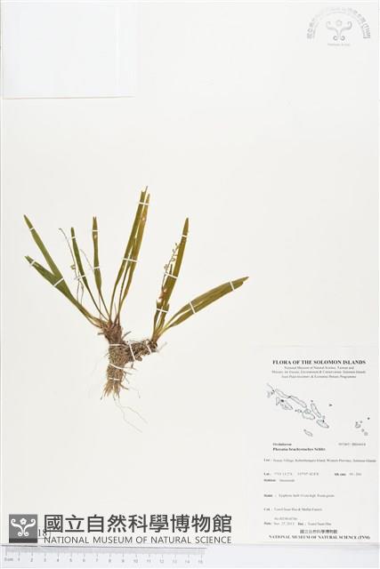 登錄號:BS04418藏品圖，第1張