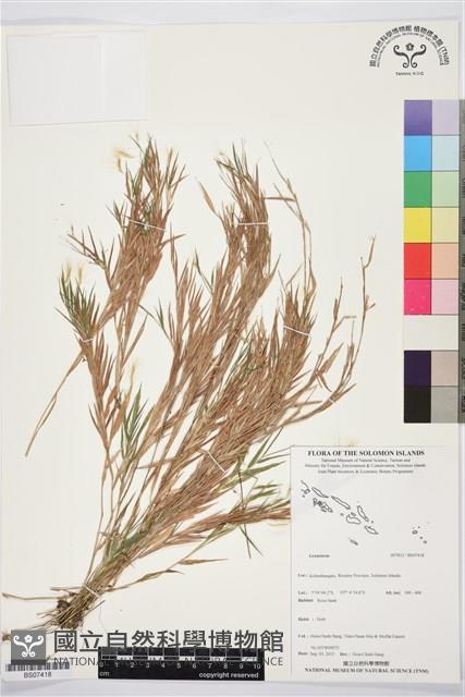 登錄號:BS07418藏品圖，第1張